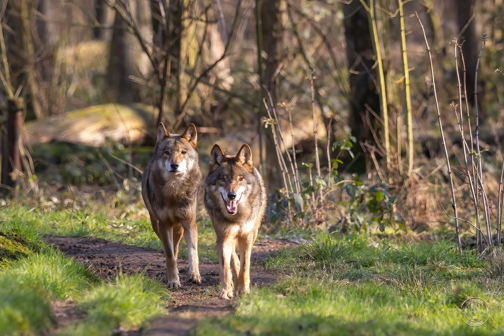 28 januari 2023 141912 1R2A7797 bewerkt